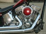 2002 Softail Chopper - photo 2