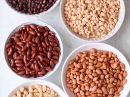 Agriculture and brevelages