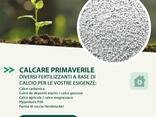 Agritura – Patate da Seme Professionali e Calce per Terreni Ricchi e Produttivi - фото 2
