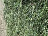 Alfalfa-Heu als Tierfutter - фото 2