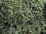 Alfalfa-Heu als Tierfutter - фото 3
