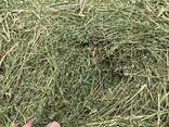 Alfalfa-Heu als Tierfutter - фото 4
