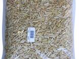 Almond nuts - фото 2