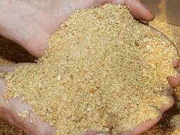 Animal Feed Soybean Meal 48% Feed Grade for Poultry And Livestock/ Yellow Corn for feed