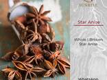 Anis Star from Vietnam - фото 1