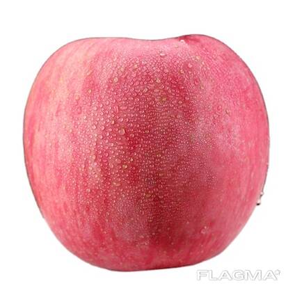 Apples, Fuji and Gala apples, Best wholesale market price