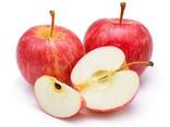 Apples, Fuji and Gala apples, wholesale price - фото 1