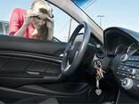 Аварийное открытие автомобиля в разных городах Германии// - photo 1
