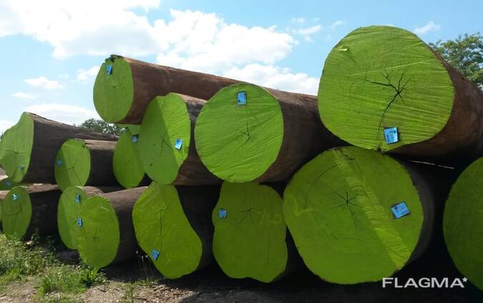 Azobé (Nicht / Bongossi) Schnittholz