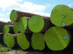 Azobé (Nicht / Bongossi) Schnittholz