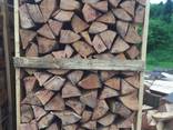 Beech Firewood - photo 1