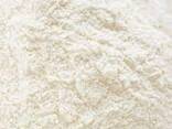 Premium Dried Raw Skimmed Milk Powder 25kg Bulk Bottles &amp; Bags - фото 1