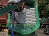 Black Pepper / White from Vietnam - фото 6
