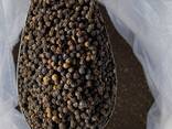 Black Pepper / White from Vietnam - фото 10