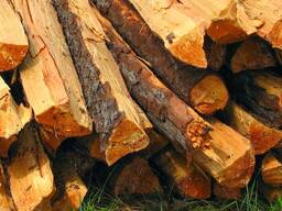 Brennholz zu verkaufen