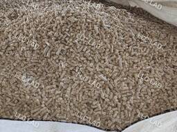 Brennstoff Pellet Kiefer