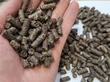 Brennstoffpellets aus Buchweizenschalen - фото 2