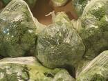 Broccoli from Poland - photo 3
