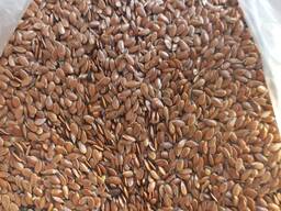 Brown flaxseed