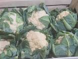 Blumenkohl (Herkunft Polen) - фото 4