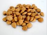 Cheap Almond Nuts , Almond Kernel , Almond Wholesale Price. . - фото 2