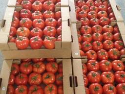 Cherries, sour cherries, apricots, peaches, peach nectarines,