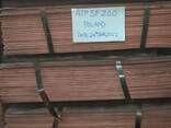 Copper Cathodes and copper wire scrap - фото 2
