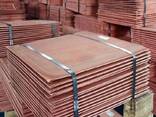 Copper cathodes wholesale - фото 3