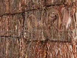 Copper Wire Scrap Millberry/Copper Wire Scrap 99.99% for sale Grade ''A''