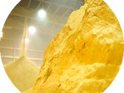 Corn DDGS, DDGS (Destillers Dried Grains with Solubles) 35%