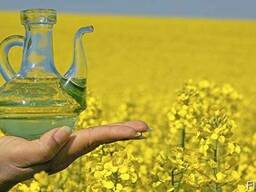 Crude and Refined Rapeseed Oil Available in flexi tanks
