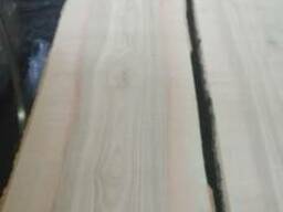 Доска необрезная ясеня