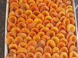 Dried apricot natural - фото 1
