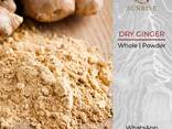 Dry Whole Ginger from Vietnam - фото 1