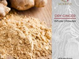 Dry Whole Ginger from Vietnam