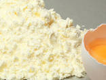 Egg Powder (WEP), (EYP-F), (EYP), (EWP-GF), (EWP-HW) - фото 3