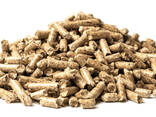 ENplus-zertifizierte Holzpellets mit niedrigem Aschegehalt der Klassen A1 und A2 - фото 1