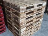 Epal Euro Wood Pallets - фото 3