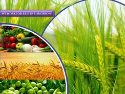 Hersteller und Lieferant von Pestiziden weltweit