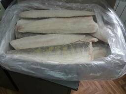 Fisch