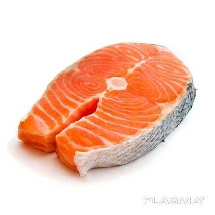 Fresh Atlantic Salmon Price / Premium Quality Atlantic Salmon Fish Fillet/ Mackerel fish