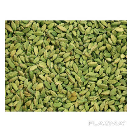 Fresh Raw Green Cardamom Wholesale Premium Quality Spice Bulk Available 100% Natural High