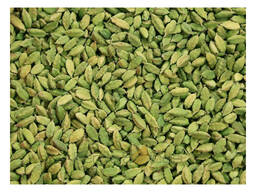 Fresh Raw Green Cardamom Wholesale Premium Quality Spice Bulk Available 100% Natural High