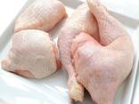 Quality Frozen Chicken Paws, Feet, Halal Whole Chicken - фото 1