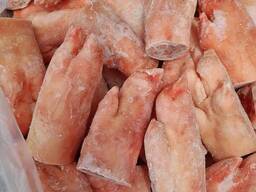 Frozen Pork Meat /Frozen Pork Feet