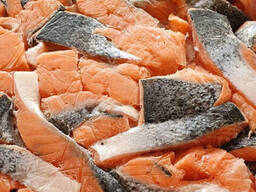 Frozen Salmon Bits &amp; Pieces; Atlantic Salmon (Salmo salar);