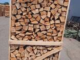 Gespaltenes Brennholz auf Palette ( Buche / Buchenbrennholz ) - фото 2