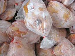 HALAL Frozen Whole Chicken / HALAL Chicken / Chicken Leg Quarter / Chicken Wing