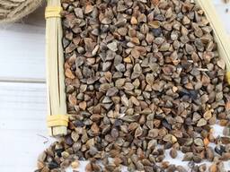 Großhandelslieferant gerösteter Buchweizen zum Verkauf zu günstigen Preisen