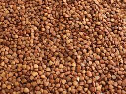 Großhandelspreis Buchweizen